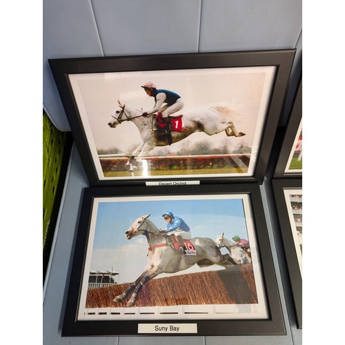 58 - Set of six, 33.5 x 24.5 cm framed National Hunt champion grey horses in running