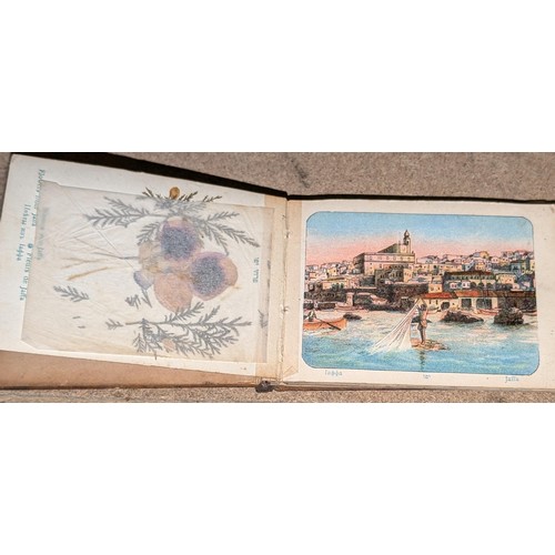 71 - Vintage Holy Land souvenir picture card and dried flower book