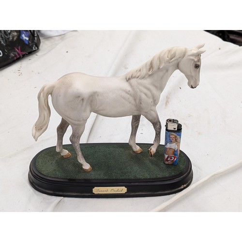 Lot 19        