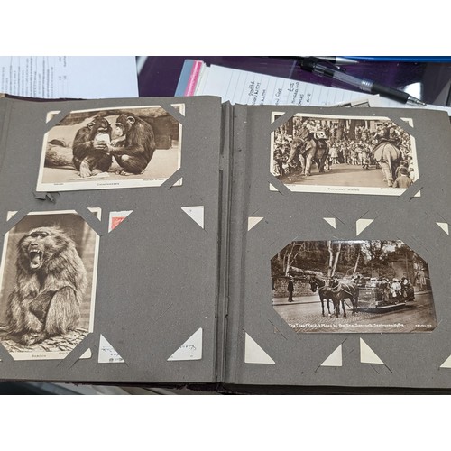 105 - Turn of the century postcard album 3/4 full of old postcards and greeting cards, Plus roughly 100 vi... 