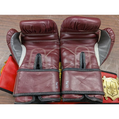 24 - Vintage Everlast Mohammed Ali boxing gloves and boxing belt