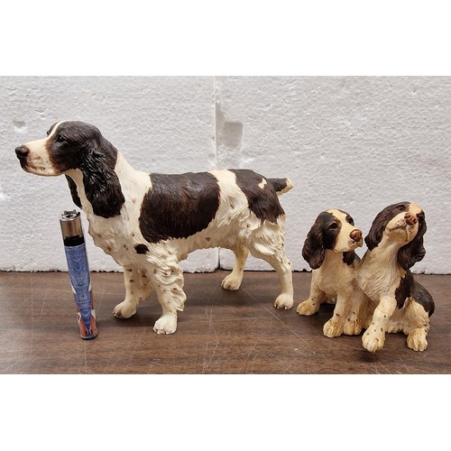 33 - 2 x Border Fine Arts springer spaniel figures, tallest being approximately 6