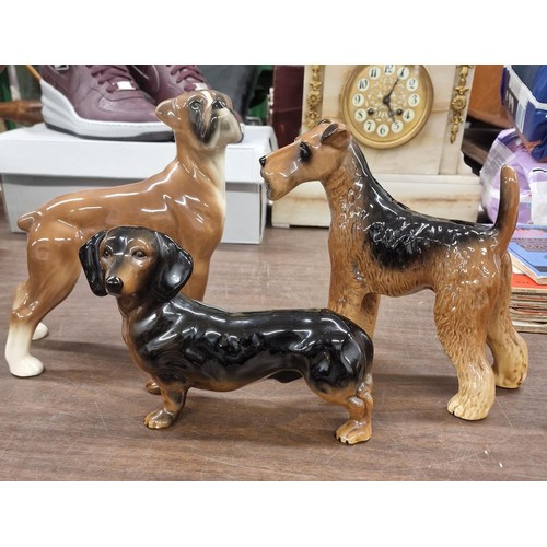 15 - 3 x Coopercraft dogs being, Boxer, Dachshund and Terrier- tallest approximately 8.25