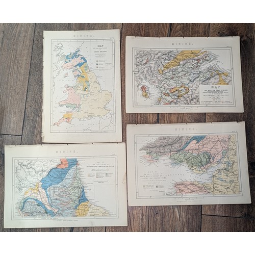Lot 20        