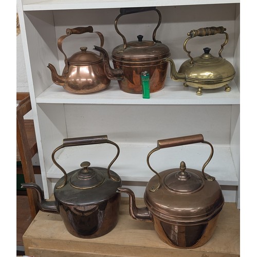 Lot 296       