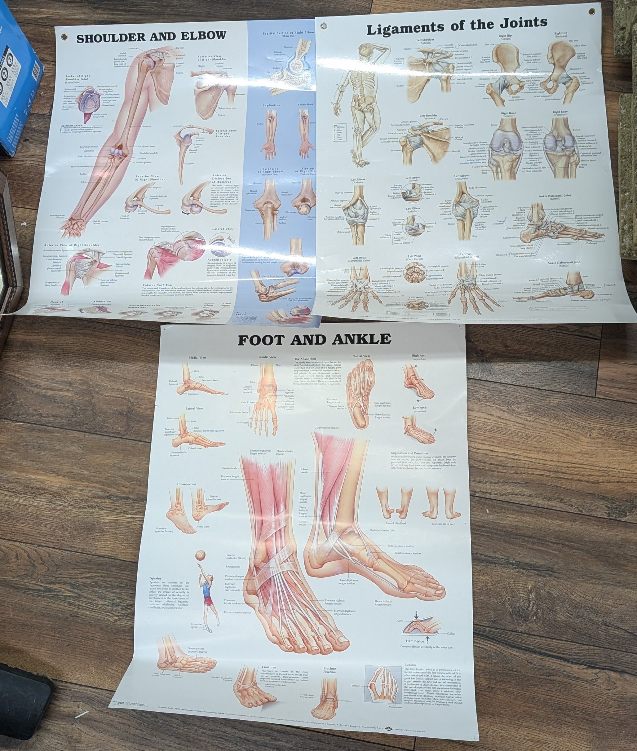 Set of Three 20 x 26