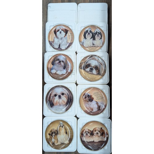 158 - Set of Eight Danbury Mint Poetry of the Shih Tzus Limited Edition 8.25