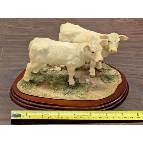86 - Border Fine Arts Studio A5275 Charolais Calves Figurine