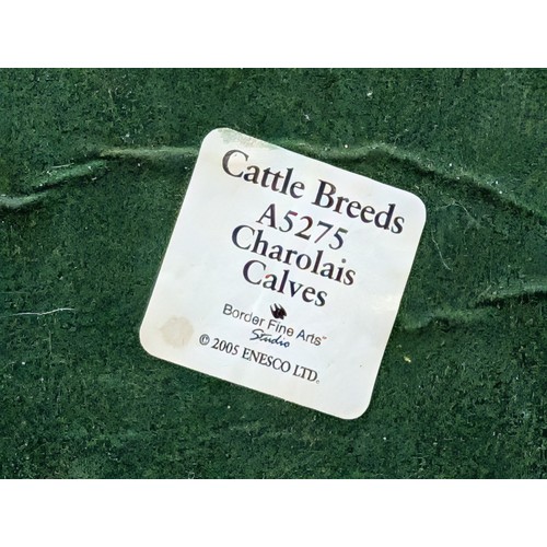 86 - Border Fine Arts Studio A5275 Charolais Calves Figurine