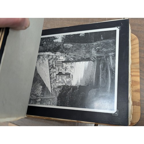 153 - Vernacular Mid-20th Century Photograph Album of Zoo and Topographical Scenes From Portmeirion