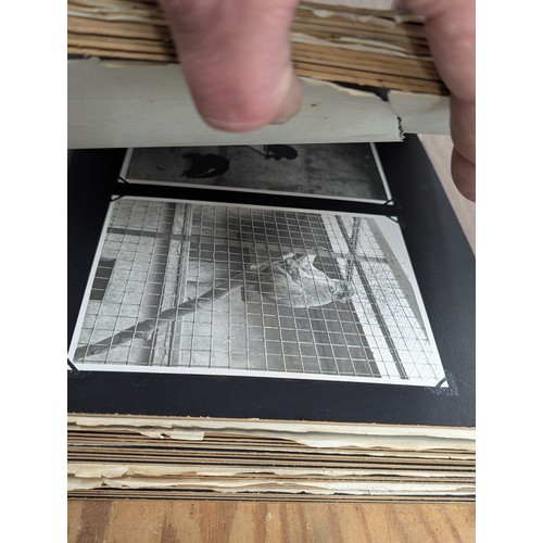 153 - Vernacular Mid-20th Century Photograph Album of Zoo and Topographical Scenes From Portmeirion