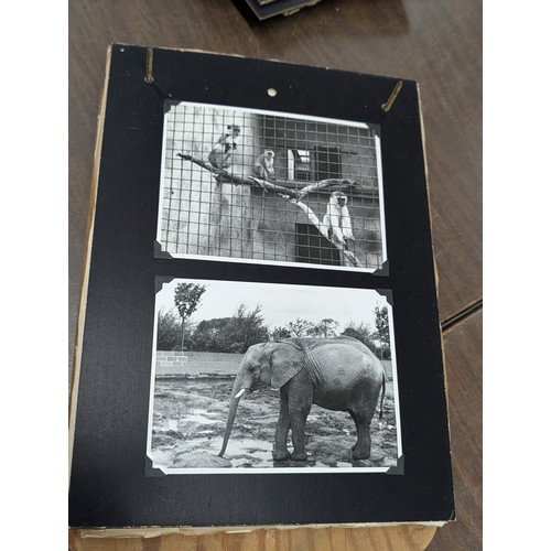 153 - Vernacular Mid-20th Century Photograph Album of Zoo and Topographical Scenes From Portmeirion