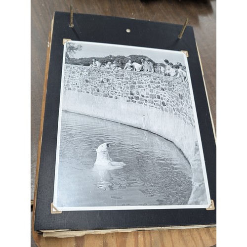 153 - Vernacular Mid-20th Century Photograph Album of Zoo and Topographical Scenes From Portmeirion