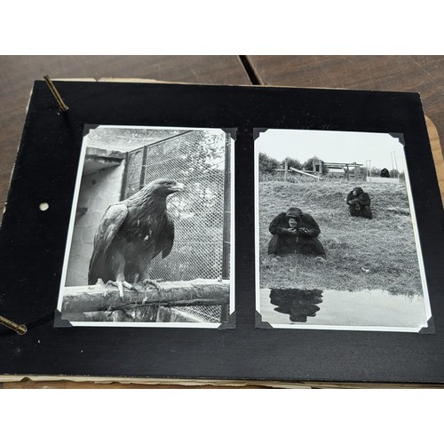 153 - Vernacular Mid-20th Century Photograph Album of Zoo and Topographical Scenes From Portmeirion