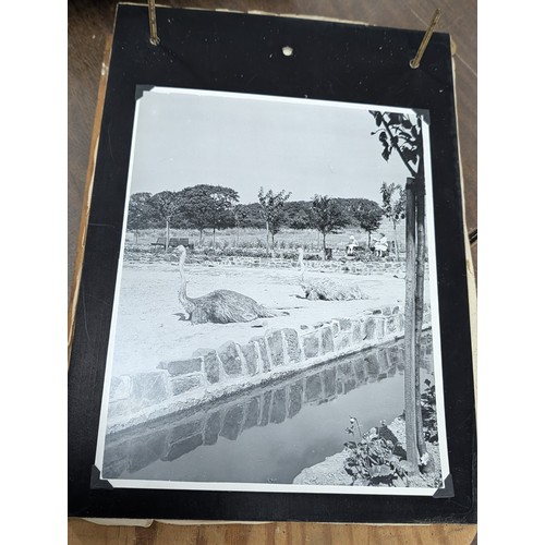 153 - Vernacular Mid-20th Century Photograph Album of Zoo and Topographical Scenes From Portmeirion