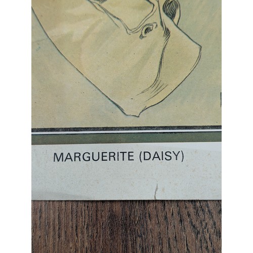 115 - Two Art Prints, Alphonse Mucha Marguerite Reproduction and Mary Pickford 10.25 x 28.5