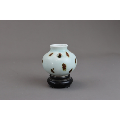 473 - A Qingbai Waterpot with Iron-splash with wood stand of rounded shape, a pair of lug handles set on t... 