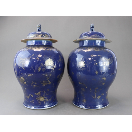 76 - A Pair of Blue and Gilt Jars and Covers, Kangxi the deep blue field richly painted in gilding with s... 