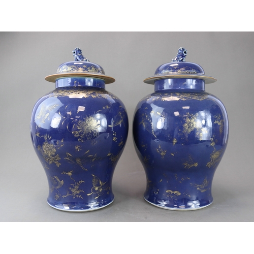 76 - A Pair of Blue and Gilt Jars and Covers, Kangxi the deep blue field richly painted in gilding with s... 