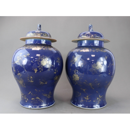 76 - A Pair of Blue and Gilt Jars and Covers, Kangxi the deep blue field richly painted in gilding with s... 