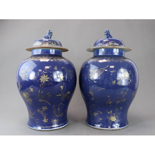 76 - A Pair of Blue and Gilt Jars and Covers, Kangxi the deep blue field richly painted in gilding with s... 