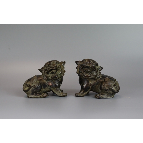 461 - A Pair of Bronze Buddhist Lions, Qing dynasty, the seated beasts with heads turned in ferocious snar... 