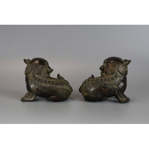 461 - A Pair of Bronze Buddhist Lions, Qing dynasty, the seated beasts with heads turned in ferocious snar... 