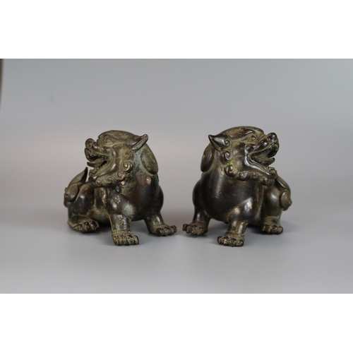 461 - A Pair of Bronze Buddhist Lions, Qing dynasty, the seated beasts with heads turned in ferocious snar... 