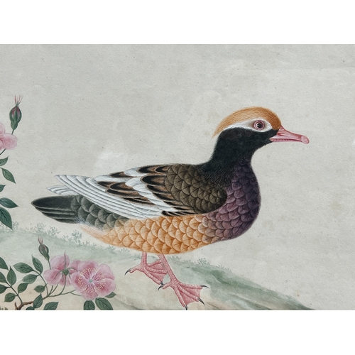 468 - A Pair of Chinese Export Pictures of Birds, 18th century finely painted in bright colours on English... 