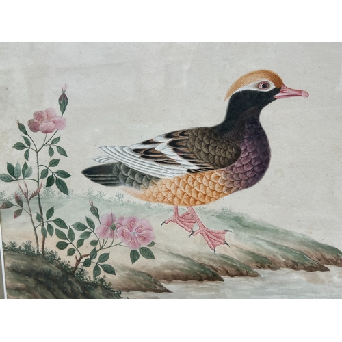 468 - A Pair of Chinese Export Pictures of Birds, 18th century finely painted in bright colours on English... 