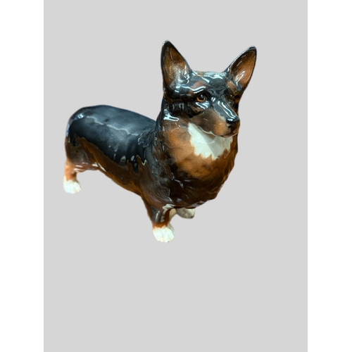 38 - Beswick model of a corgi dog16cm x H14cm