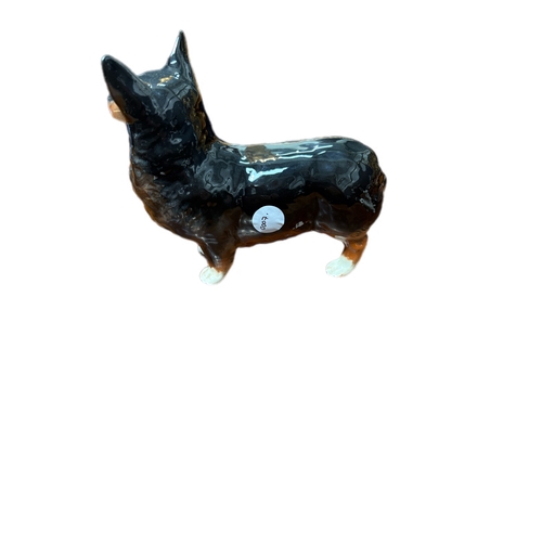 38 - Beswick model of a corgi dog16cm x H14cm