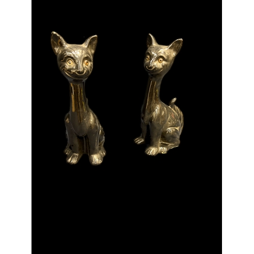 56 - 2 china black cats