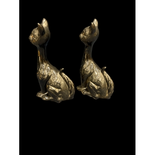 56 - 2 china black cats