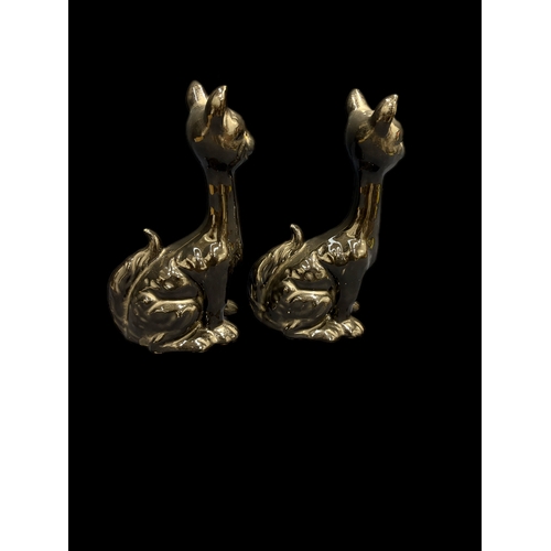 56 - 2 china black cats