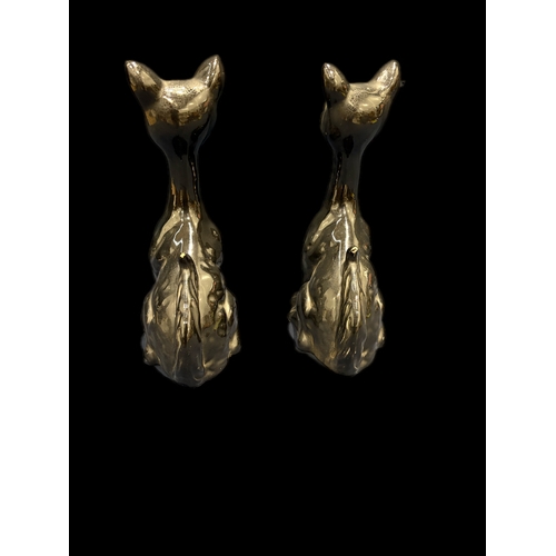 56 - 2 china black cats