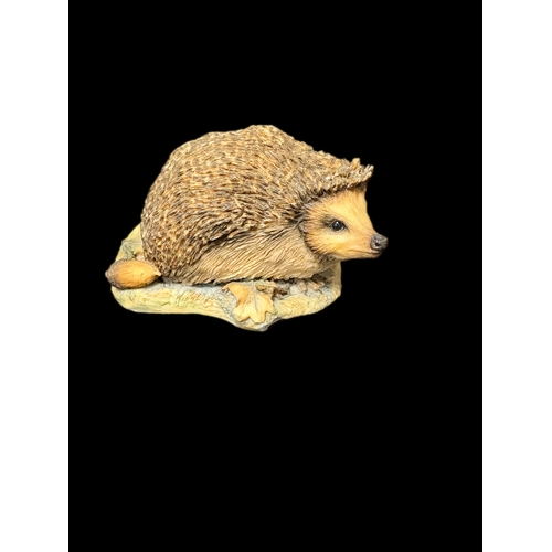 129 - Border fine arts Hedgehog