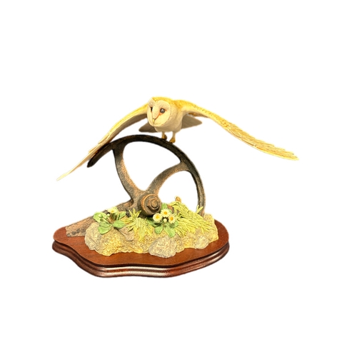 136 - Border fine arts “Evening Flight” Barn Owl model No L107 sculpted by Ray Ayres limited edition 841/1... 