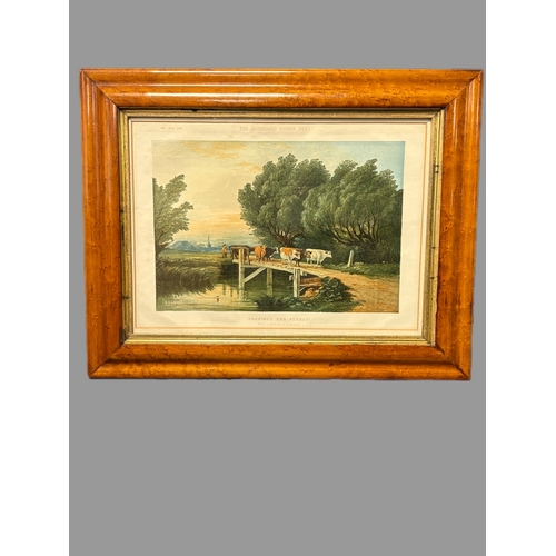 Lot 219       