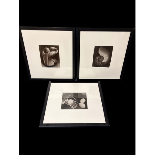 Lot 226       