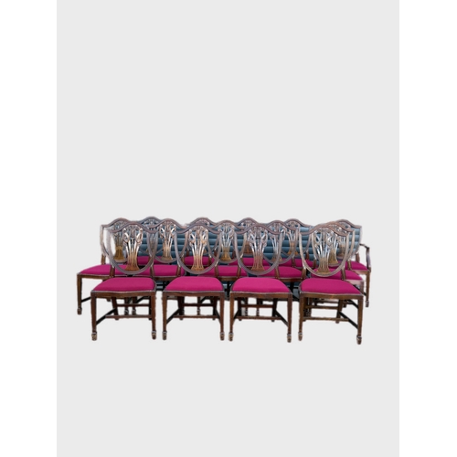 484 - 12 + 2 antique style dining chairs with drop op in seat pads