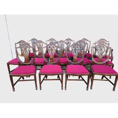 484 - 12 + 2 antique style dining chairs with drop op in seat pads