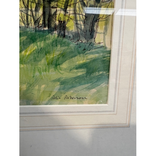 224 - Framed watercolour and ink landscape by Peter Roberson