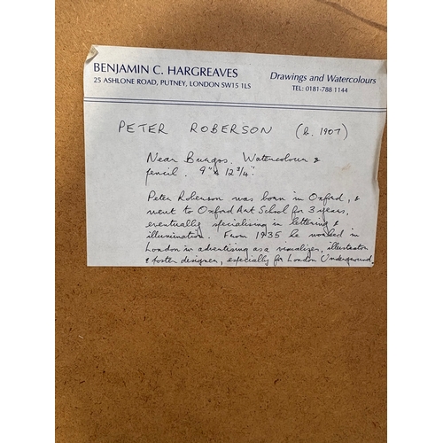 224 - Framed watercolour and ink landscape by Peter Roberson