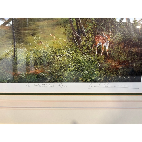 243 - Framed limited edition print &lsquo; A Watchful Life&rsquo; 89/350