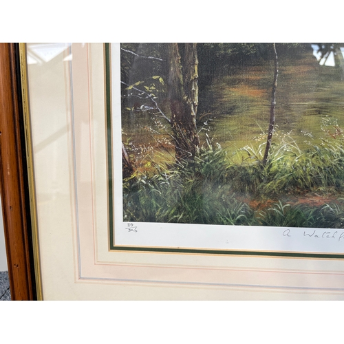 243 - Framed limited edition print &lsquo; A Watchful Life&rsquo; 89/350