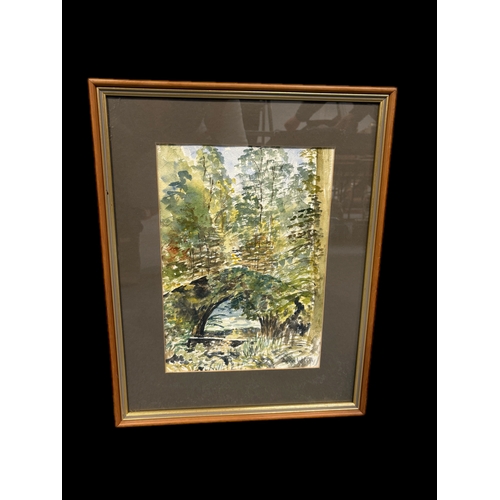 253 - 2 framed watercolours signed David Wilde ‘94