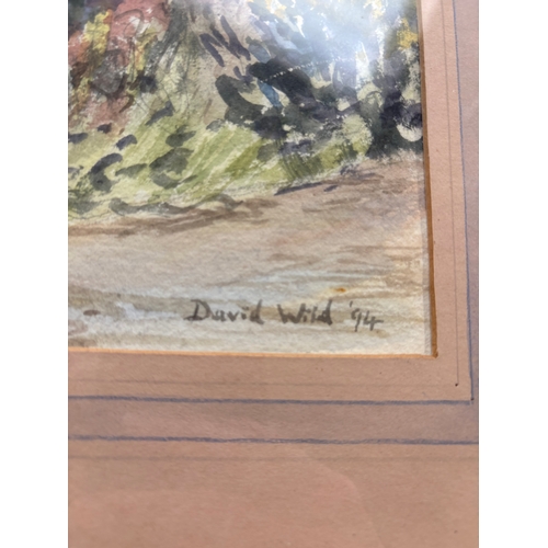 253 - 2 framed watercolours signed David Wilde ‘94