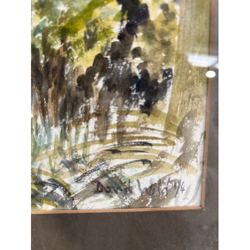 253 - 2 framed watercolours signed David Wilde ‘94
