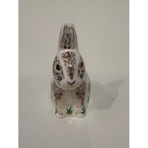 Royal crown Derby rabbit ‘Nibbles’ paperweight